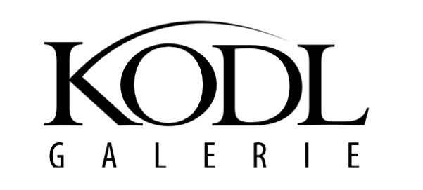 Logo partnera 7